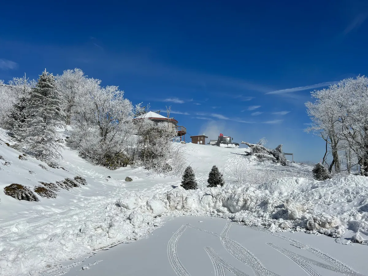 A serene winter scene with a snow-blanketed landscape, frosted trees, distant mountain buildings, and a clear blue sky. The setting feels peaceful yet inviting, evoking the charm of a mountain retreat during ski season.